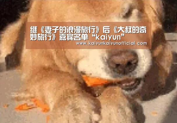 开云