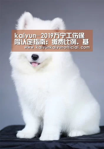 开云
