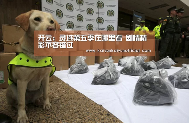 开云