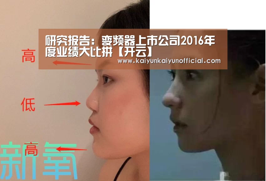 开云网址登录入口